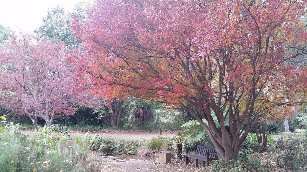 بيترماريتزبورغ Babbling Brook Bed & Breakfast المظهر الخارجي الصورة