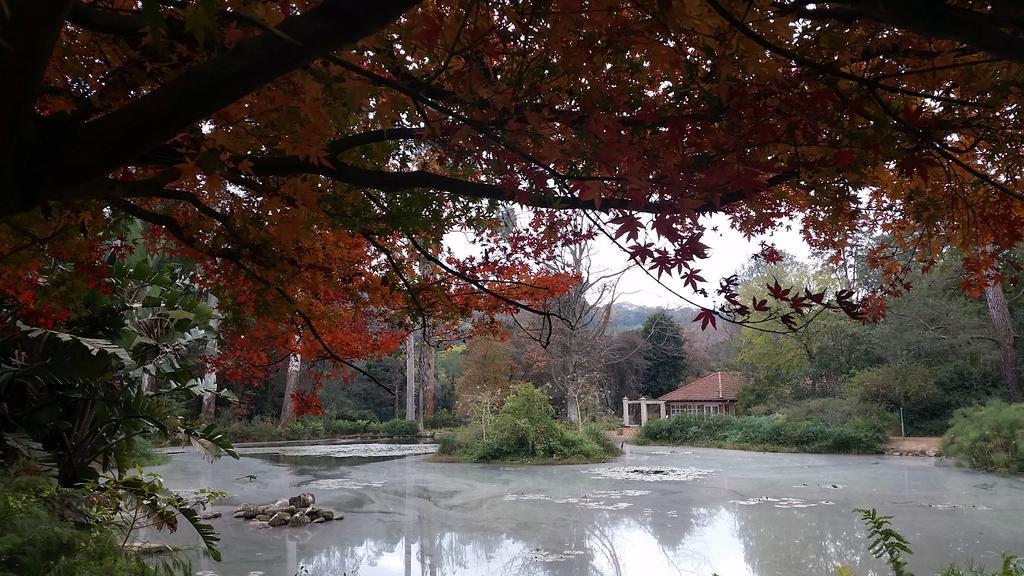 بيترماريتزبورغ Babbling Brook Bed & Breakfast المظهر الخارجي الصورة