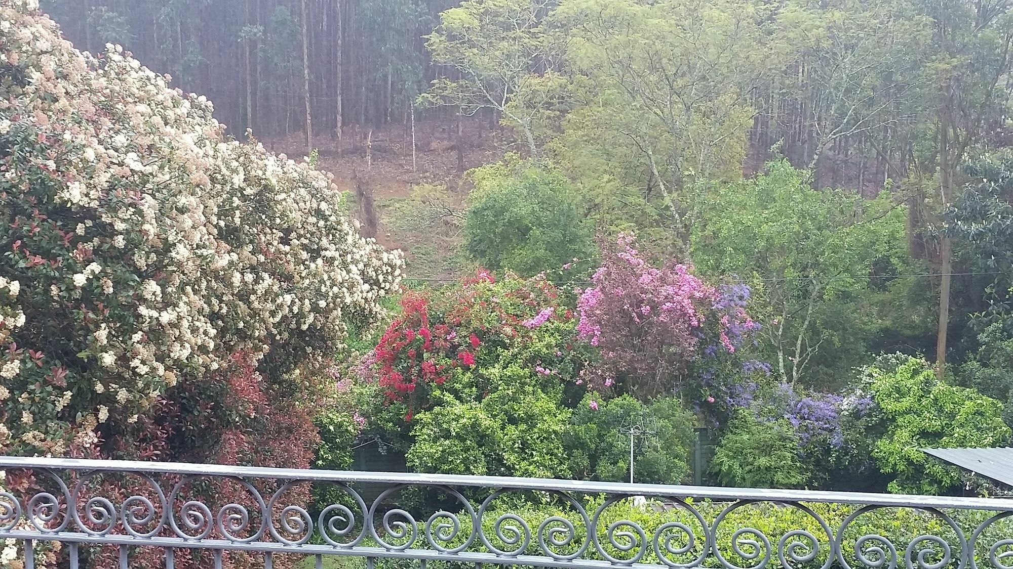 بيترماريتزبورغ Babbling Brook Bed & Breakfast المظهر الخارجي الصورة